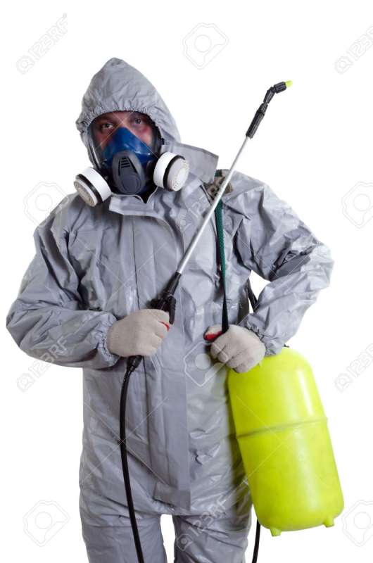 Attic and Crawl Space Pest Treatment